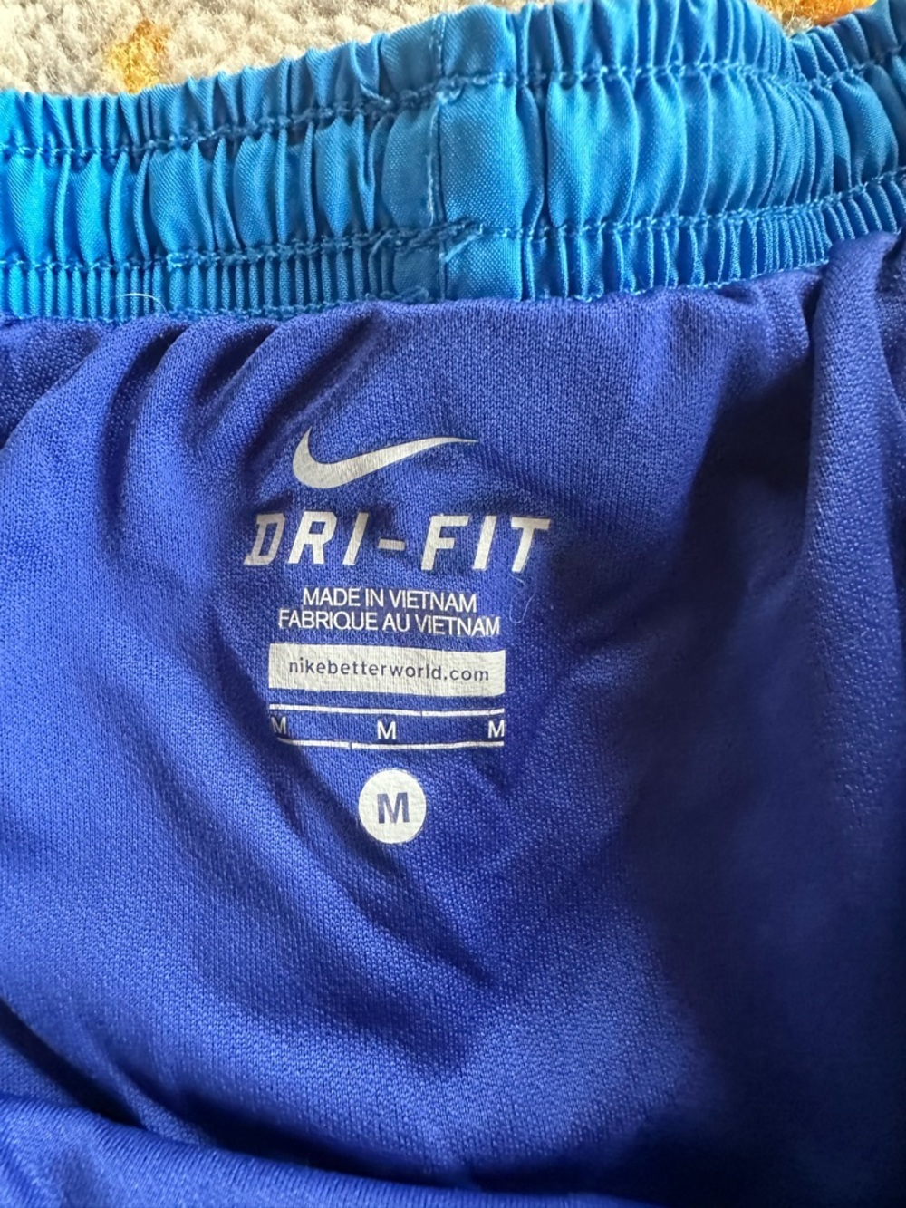Nike Royal Blue and Teal Dri-FIT Athletic Shorts - Picture 2 of 3
